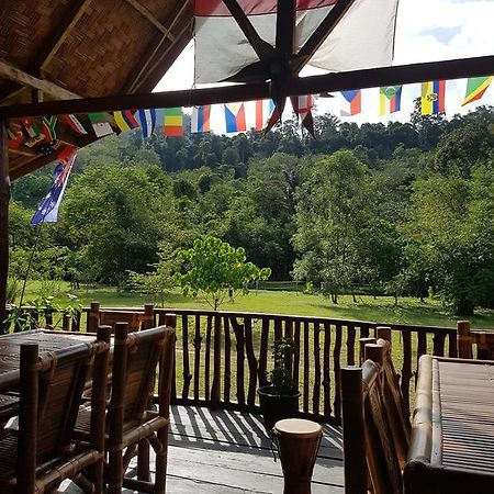 Batu Kapal Guest House & Jungle Trekking Bukit Lawang Exterior foto