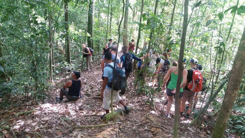 Batu Kapal Guest House & Jungle Trekking Bukit Lawang Exterior foto