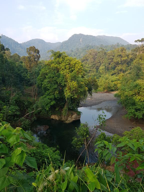 Batu Kapal Guest House & Jungle Trekking Bukit Lawang Exterior foto