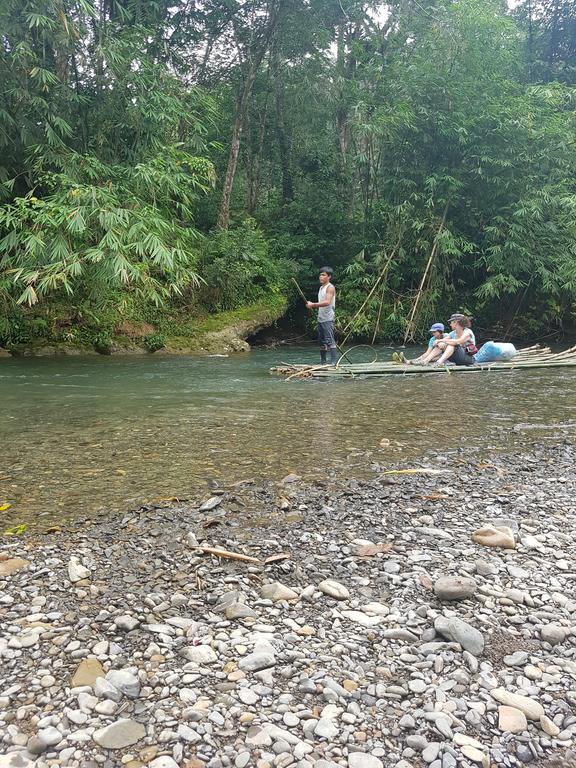 Batu Kapal Guest House & Jungle Trekking Bukit Lawang Exterior foto